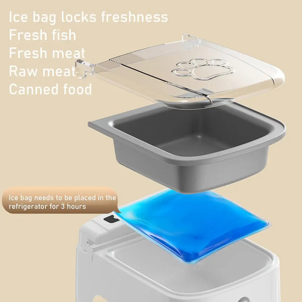 Smart Automatic Pet Feeder – Timed Sensor Dispenser for Cats and Dogs, Dry & Wet Food Slow Feeder Bowl