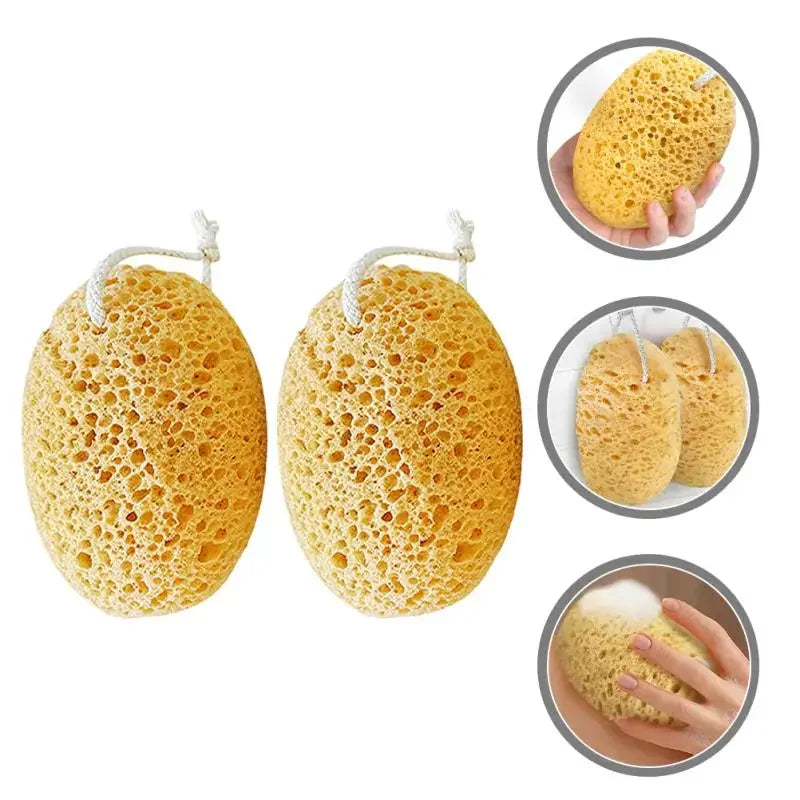 Body Foam Sponges