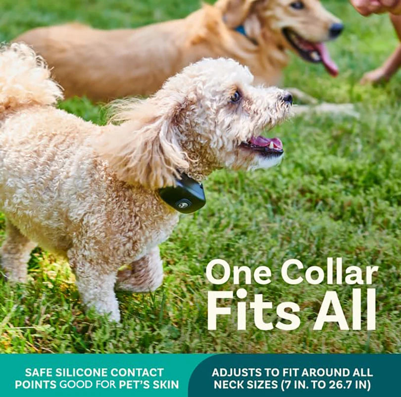 2 IN 1 Wireless Electronic Dog Fence System & Remote