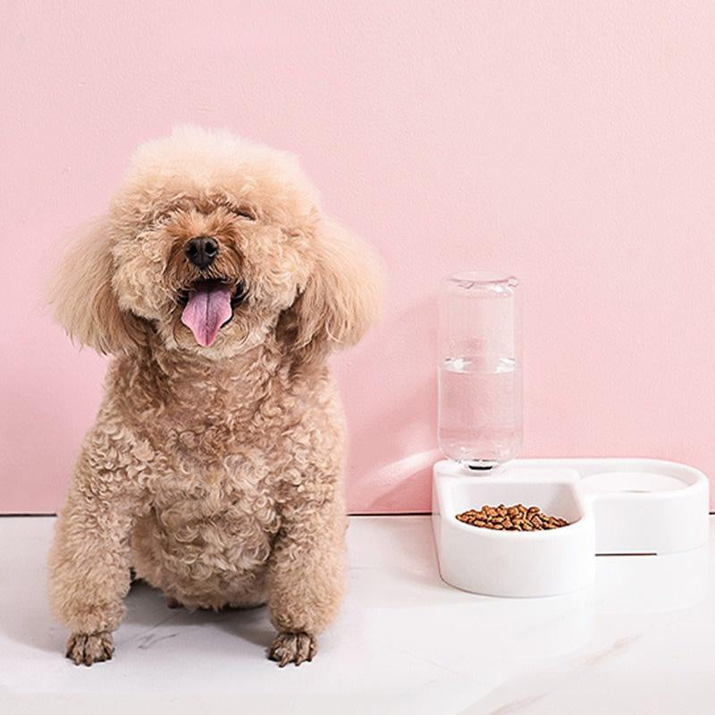 500ml Portable Automatic Pet Feeder – Small Food & Water Bowl for Cats and Dogs, Ideal for Living Room or Bedroom