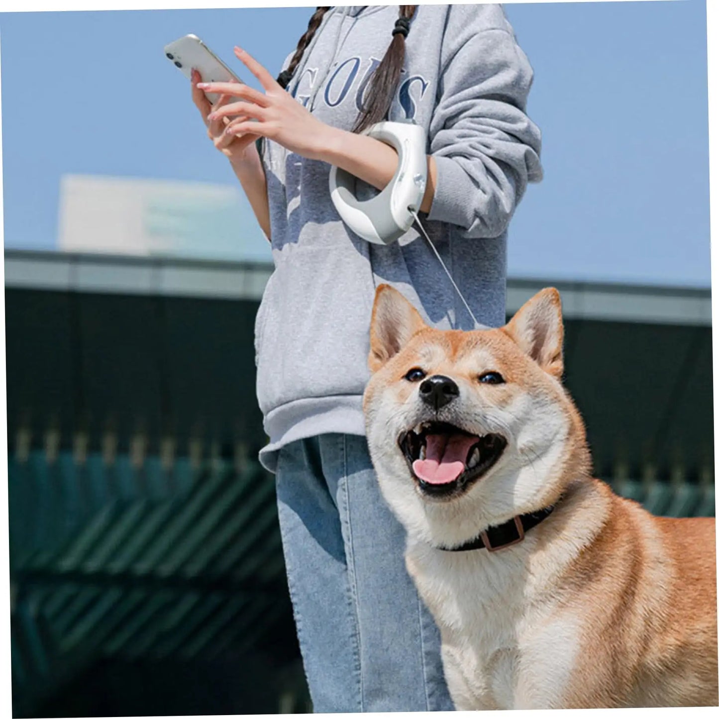 Automatic 3M Dog Leash with Flashlight LED Streamer Roulette Automatic Retractable Nylon Rope for Cat Walking Running Lead