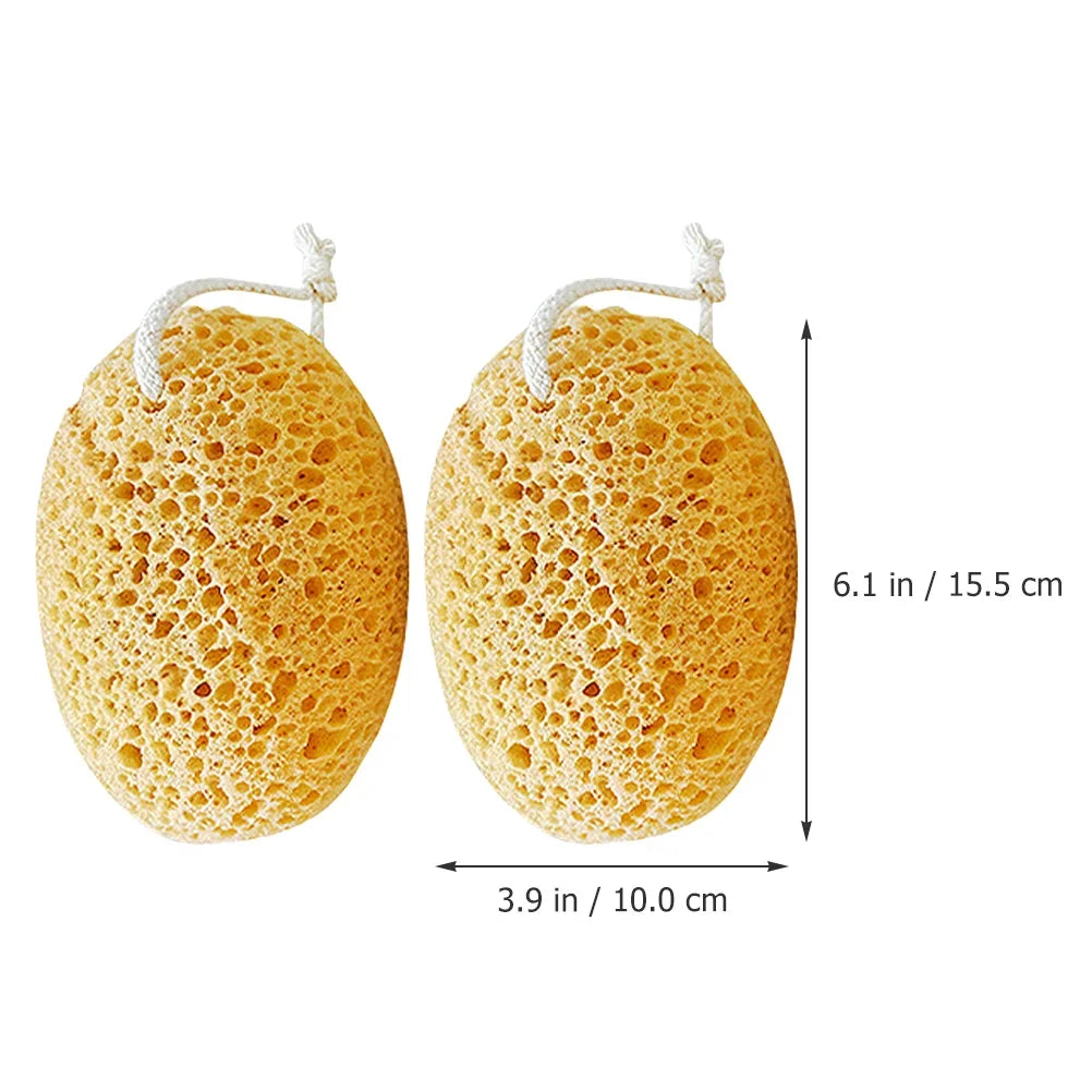 Body Foam Sponges