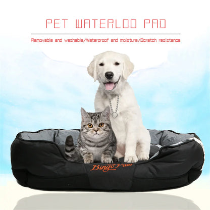 BingoPaw Large Soft Dog Bed with Removable Cushion