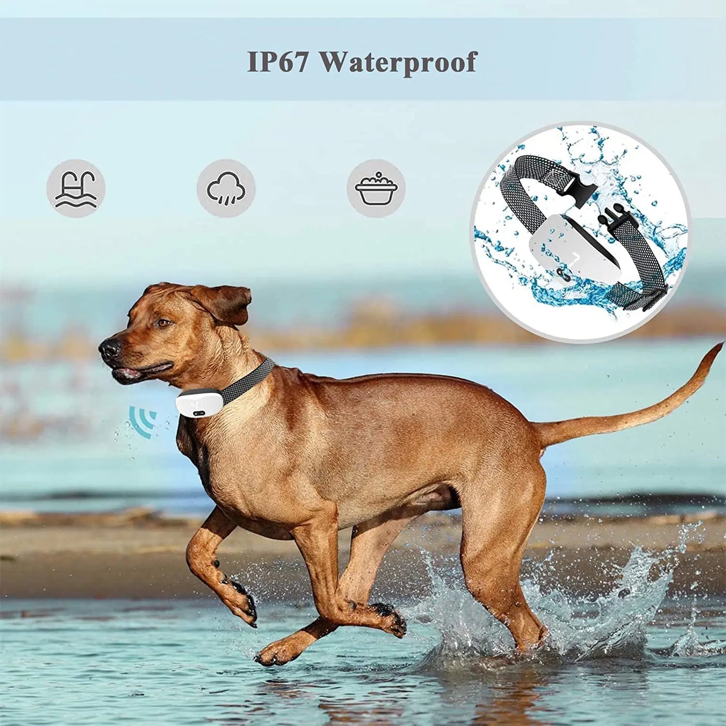 Electric Shock Vibration Anti Bark Collar