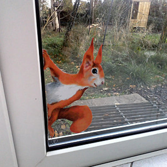 Window Stickers Peeking Squirrel Wall Decal Animal Print Woodland Stickers For Walls And Windows Home Decor Car Decoration