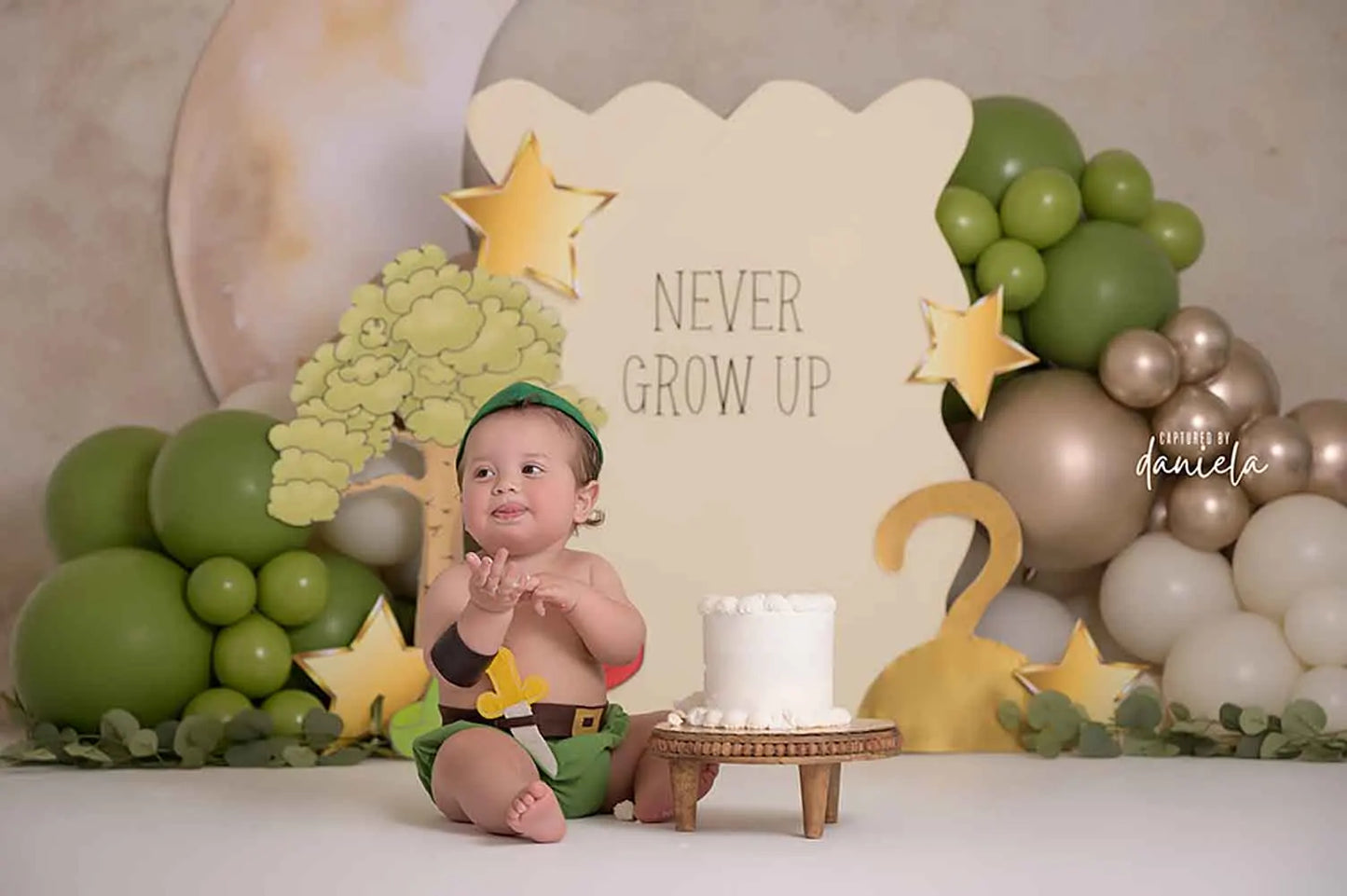 1st Birthday Cake Smash Backdrops Kids Baby Photography Child Photocall Fairy Balloons Wild One Garden Cute Bow Theme Background