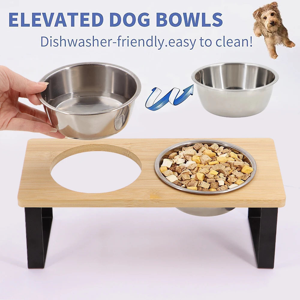 5° Tilted Elevated Pet Bowl – Stainless Steel Feeder for Cats and Puppies, Ergonomic Raised Dog Bowl