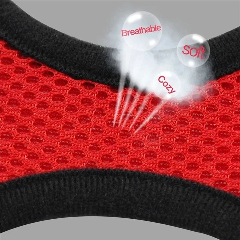 Adjustable Polyester Mesh Pet Harness Lead