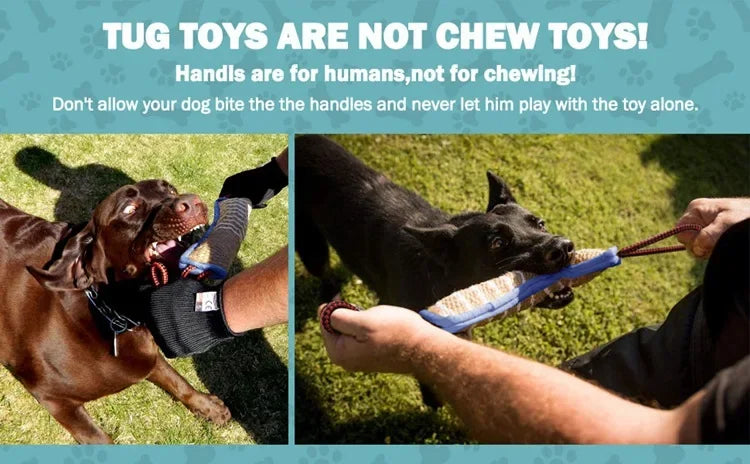 Dog Chew Sticks Chew Pillow