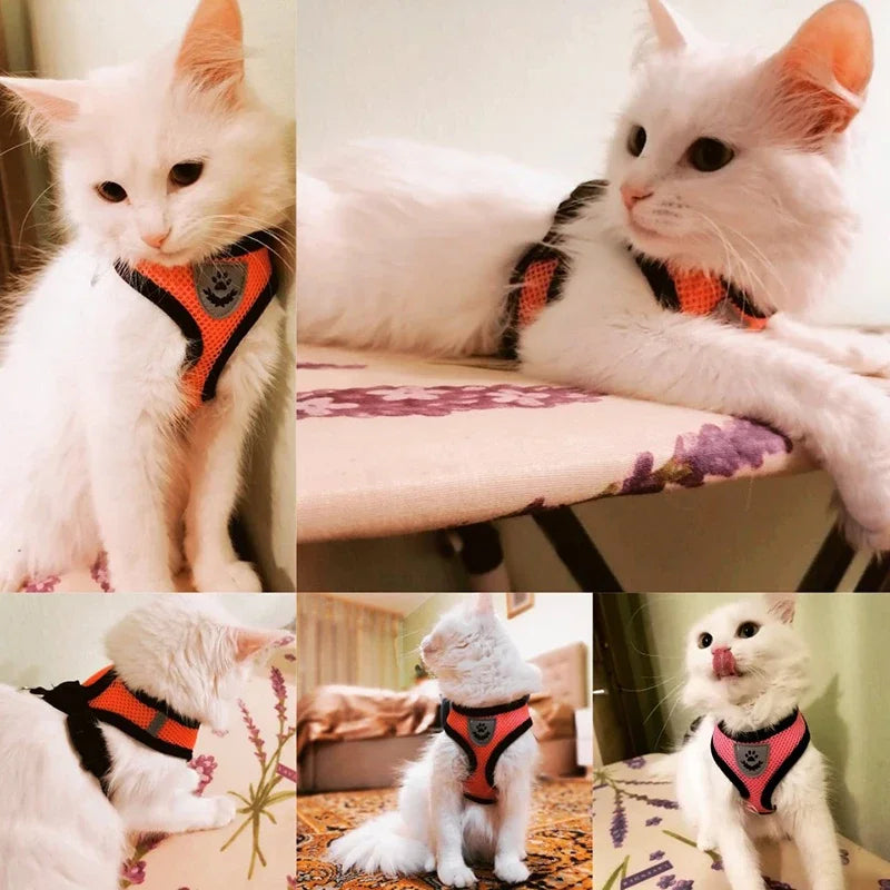 Adjustable Polyester Mesh Pet Harness Lead