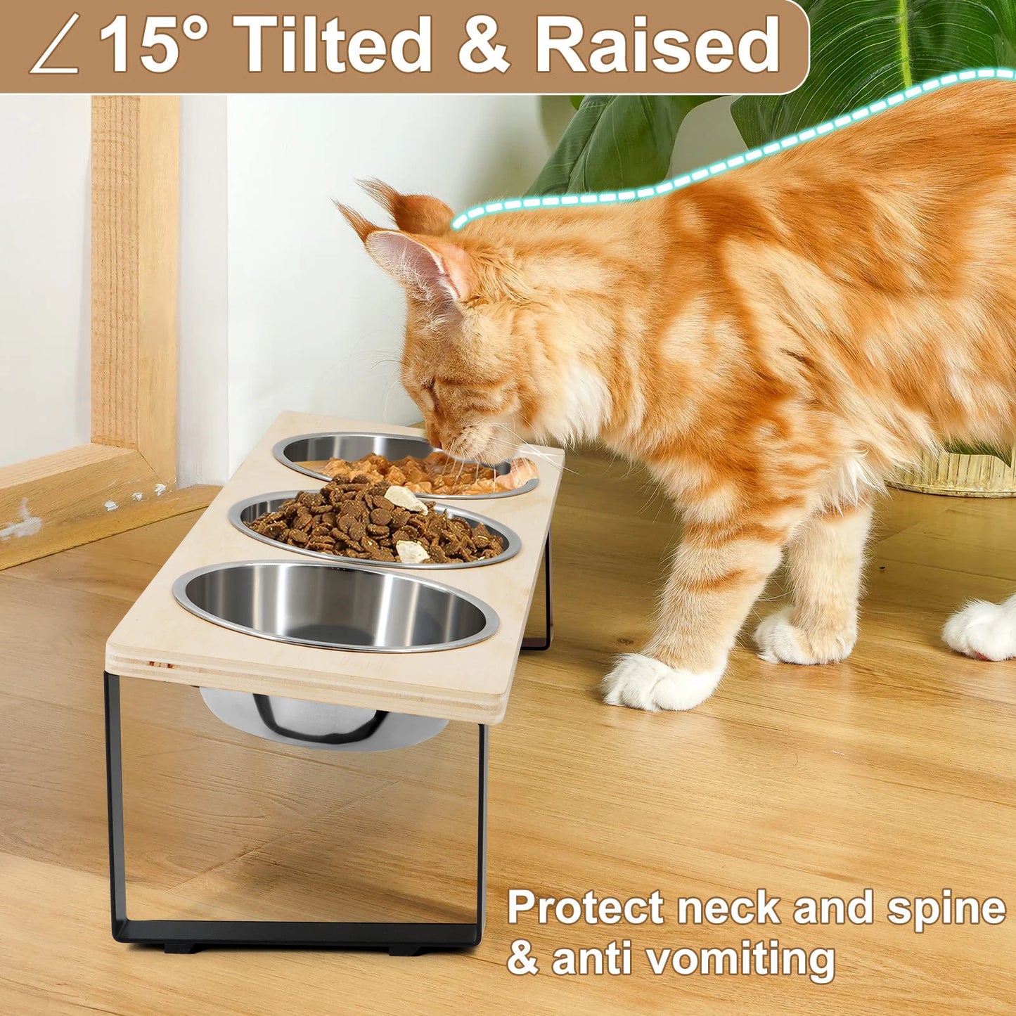 Elevated Cat & Puppy Feeder – 15° Tilted Raised Stand with 3 Stainless Steel Bowls for Food & Water