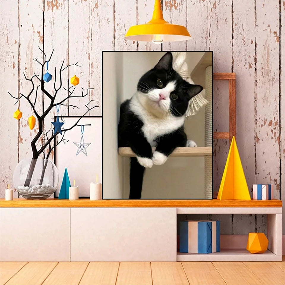 New Cow Cat 5D DIY Diamond Painting Kit Black and White Cats Portrait Diamond Embroidery Mosaic Carft Rhinestone Gift Home Decor