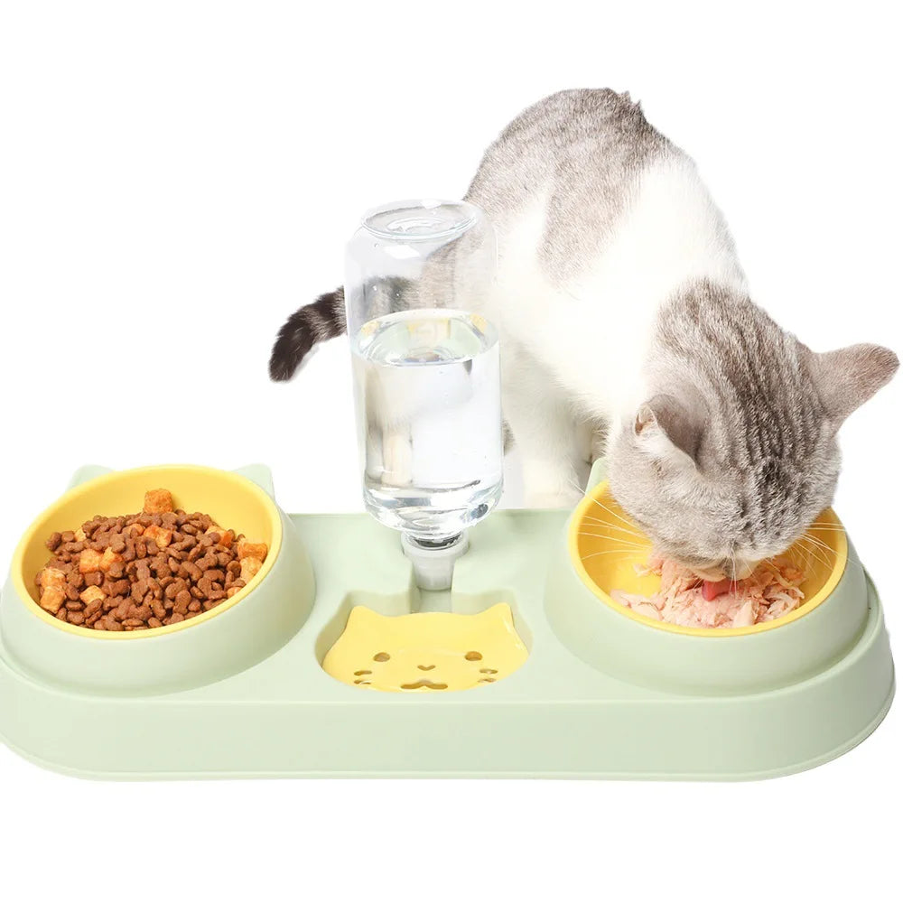 Automatic Double Bowl Feeder With Water Fountain Drinking Raised Stand