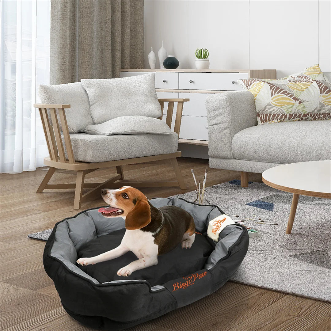 BingoPaw Large Soft Dog Bed with Removable Cushion