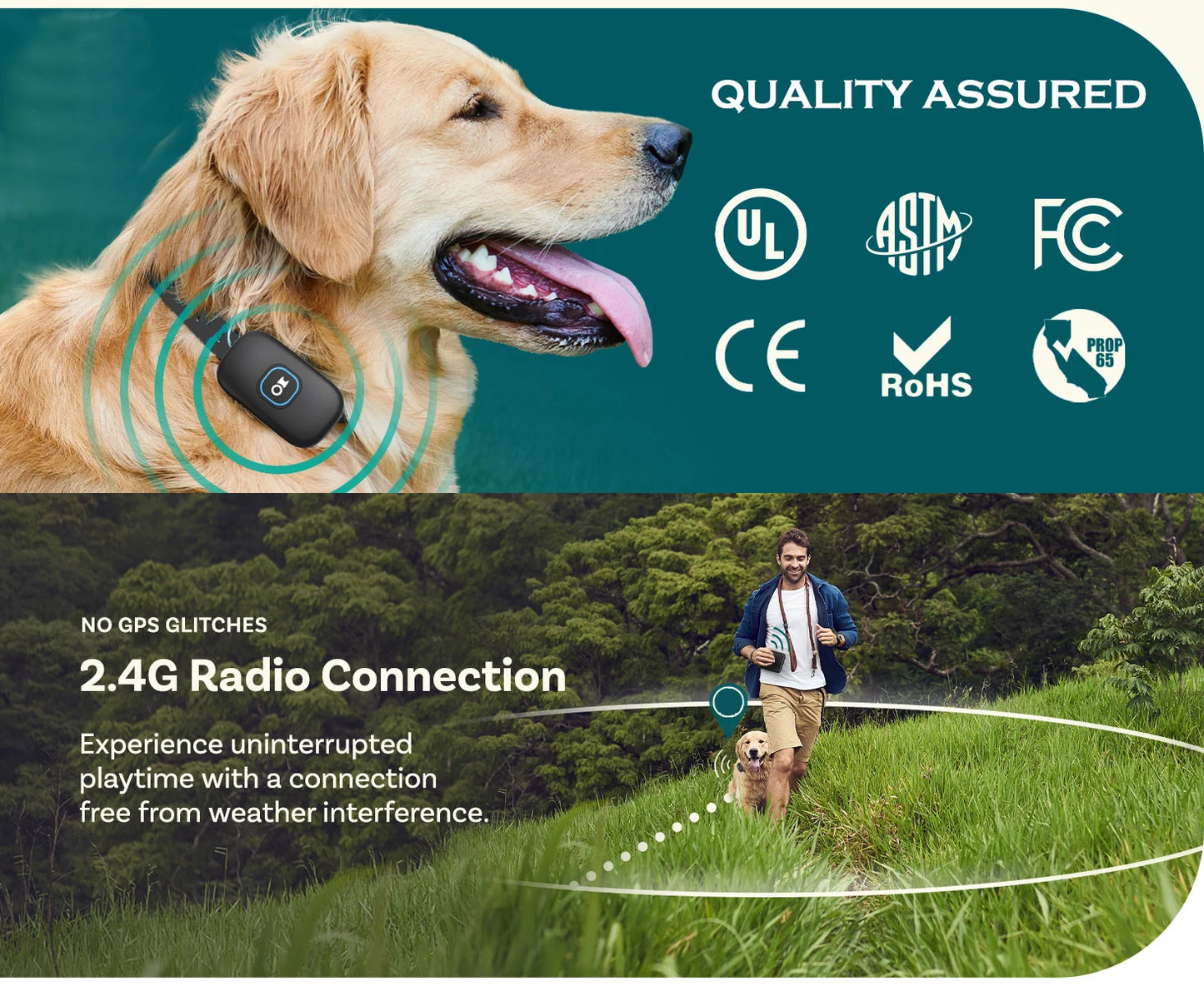 2 IN 1 Wireless Electronic Dog Fence System & Remote
