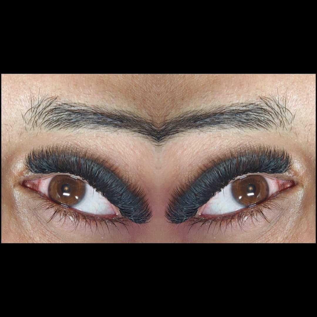 Sample Tray 6D Clover