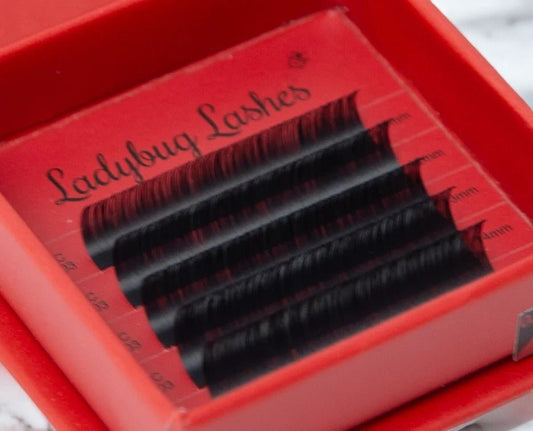 Sample Volume Lash Tray