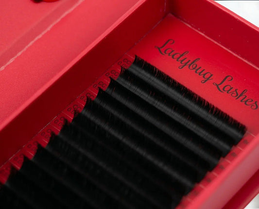 Volume Lashes Single Length