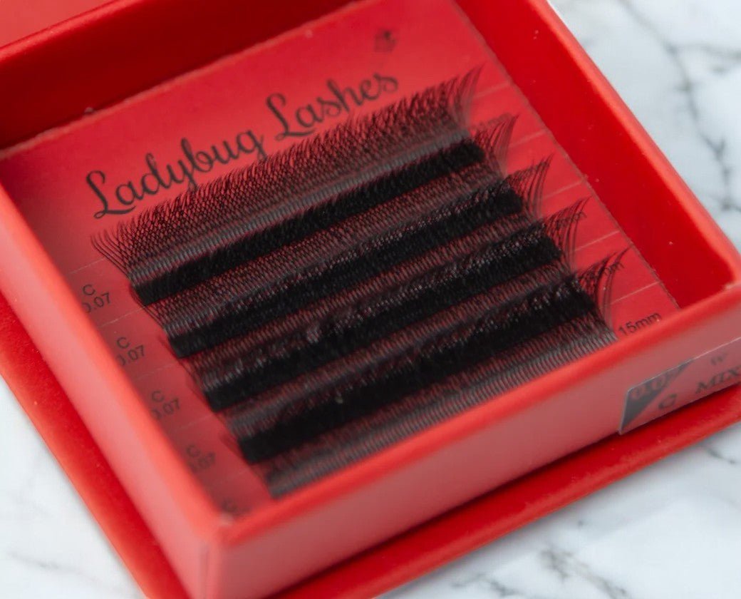 Sample W Lash Tray
