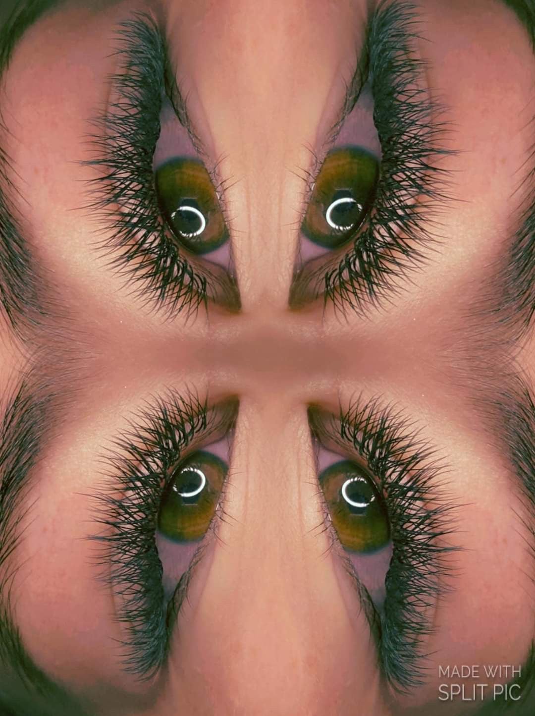 YY Lash Tray Single Length