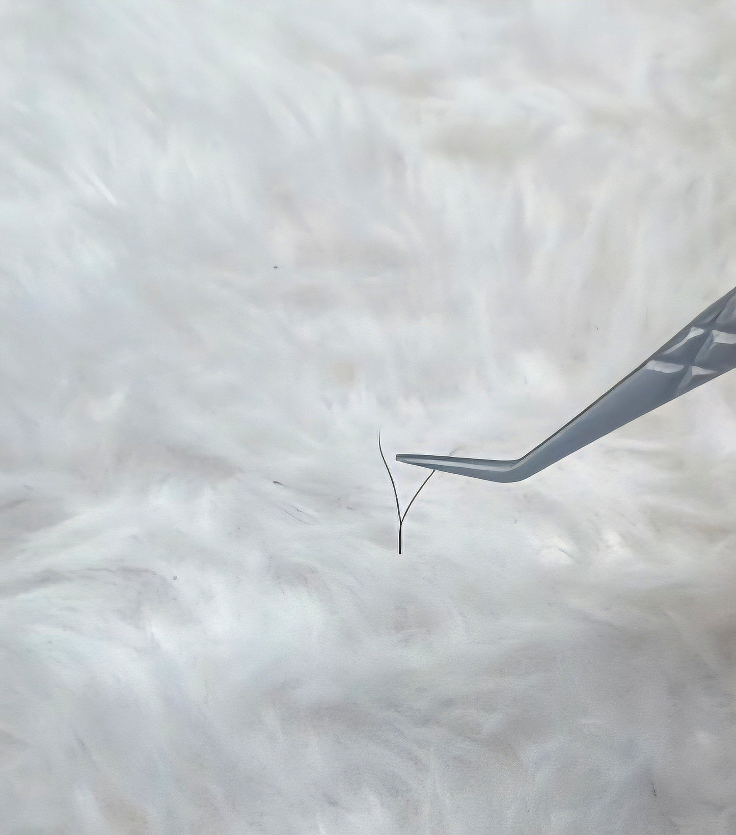 YY Lash Tray Single Length