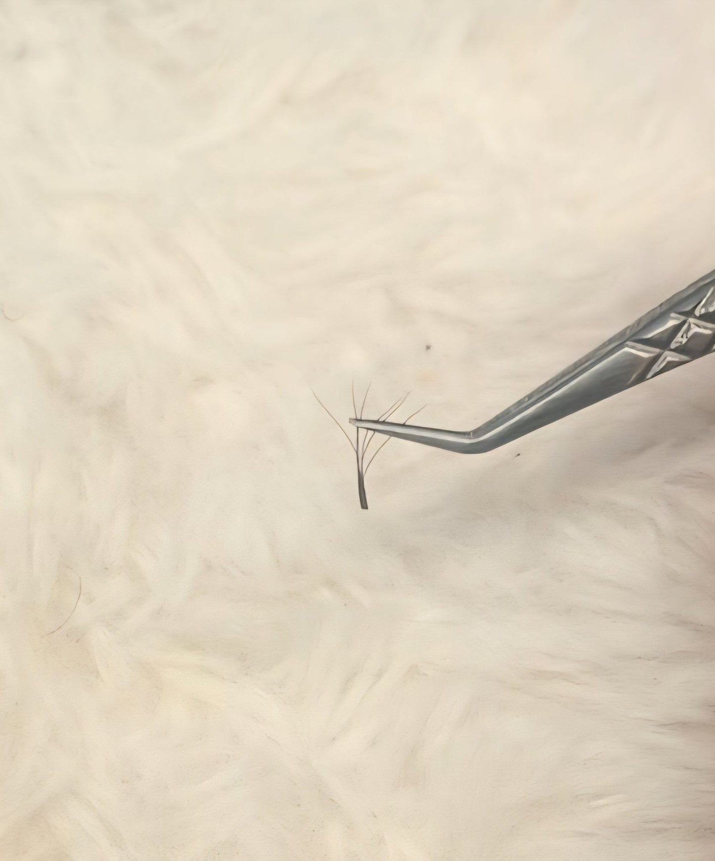 Brown 6D Clover Lash Mixed Tray