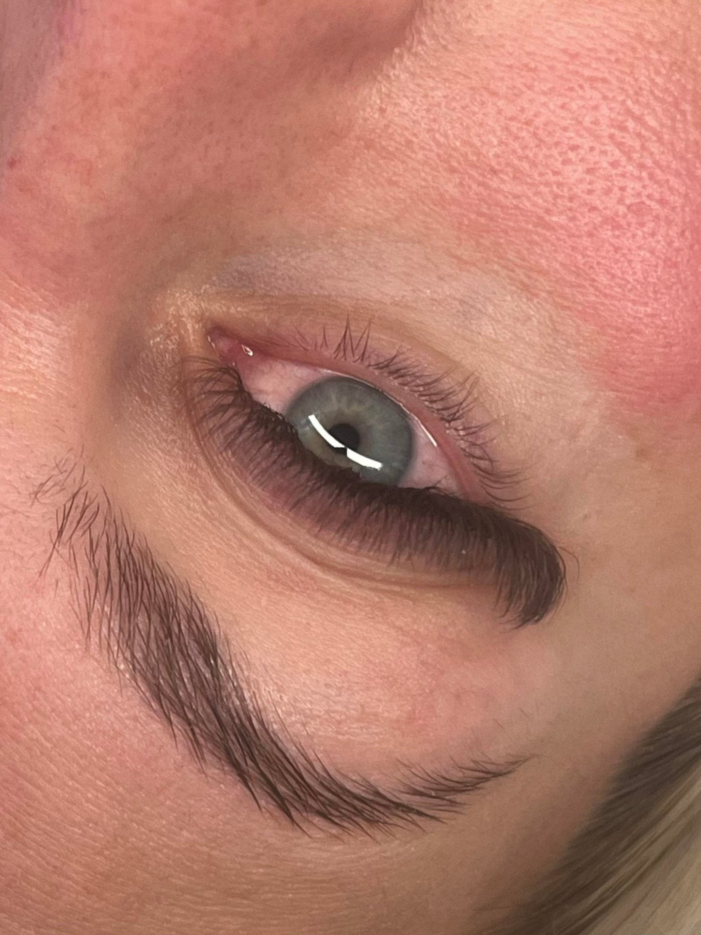 Brown 4D Clover Mixed Tray