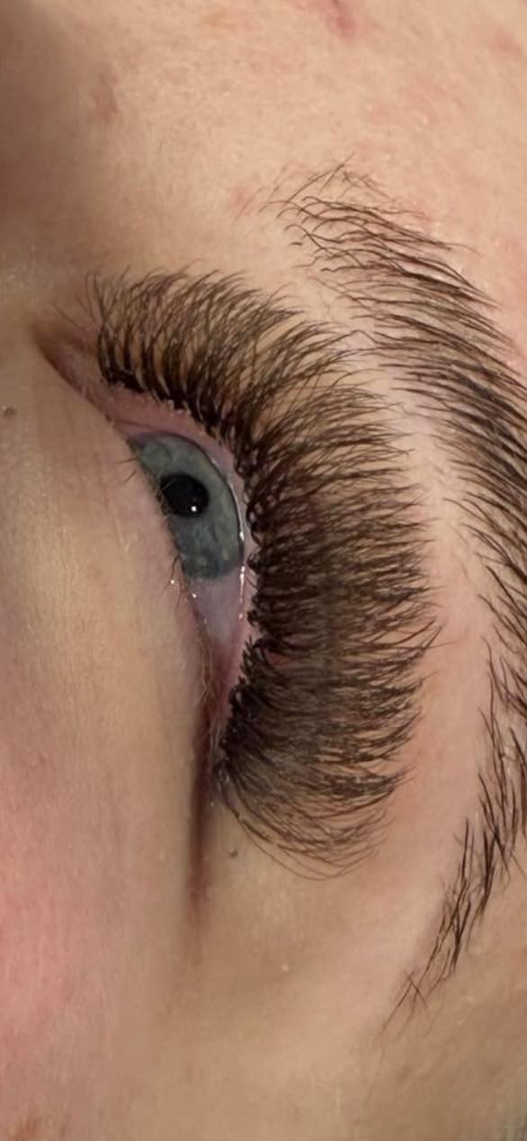 Brown 6D Clover Lash Mixed Tray