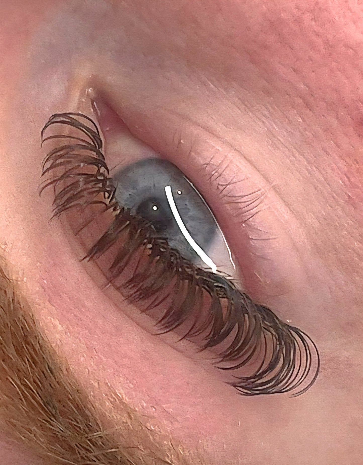 Brown Angel Lash Mixed Tray