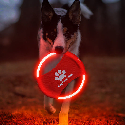 Pet LED Durable Accessory Night Rechargeable Frisbee