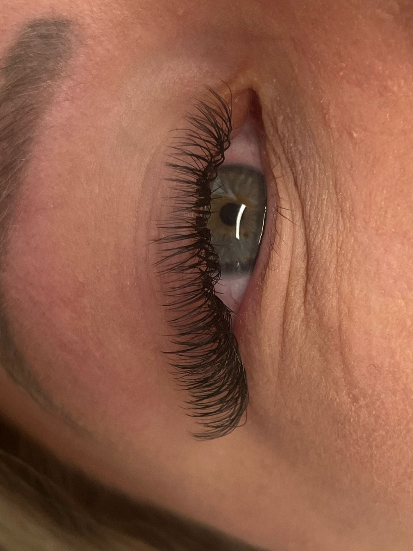 Fairy Lashes Mixed Tray