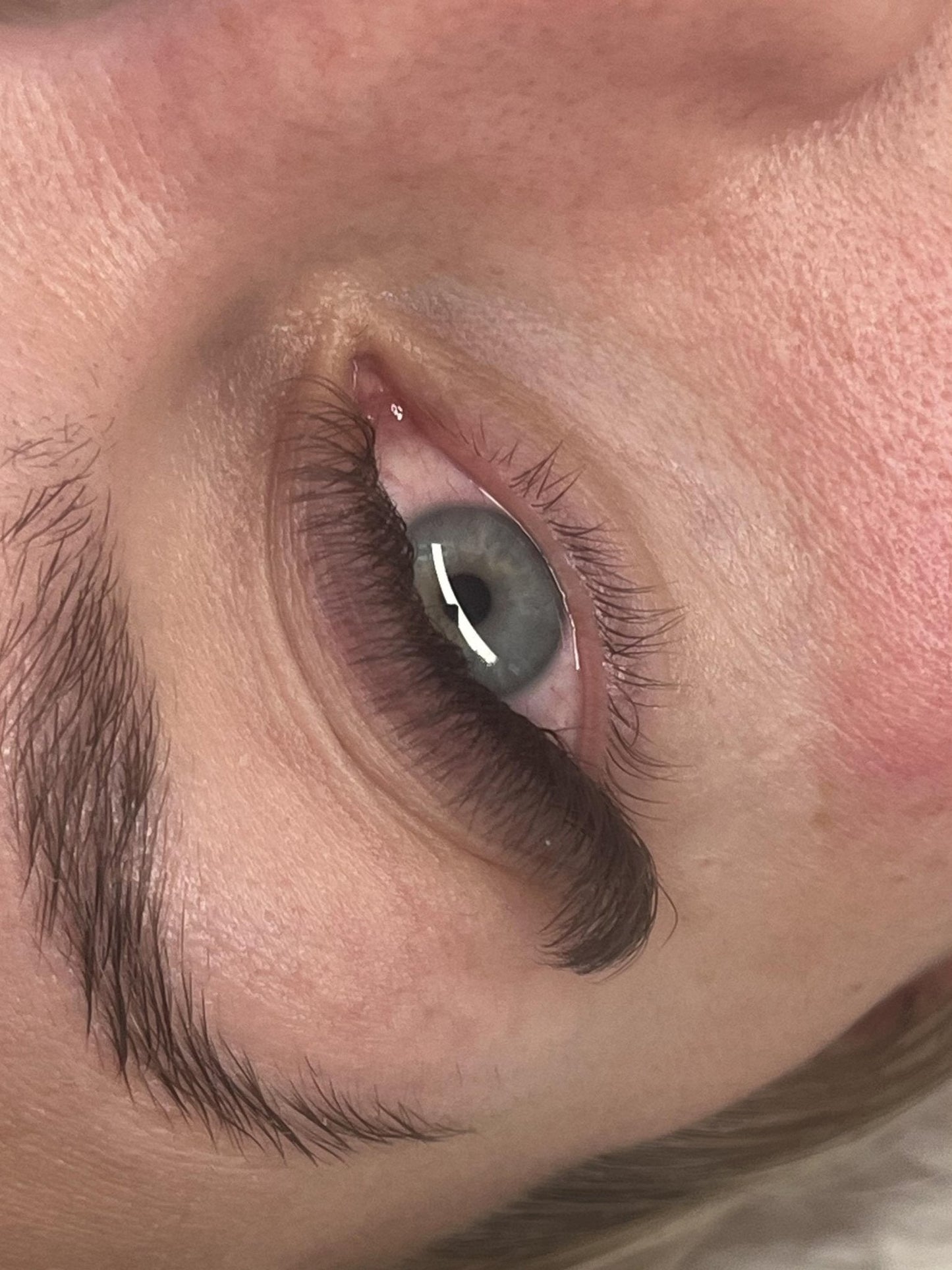 Brown 4D Clover Mixed Tray