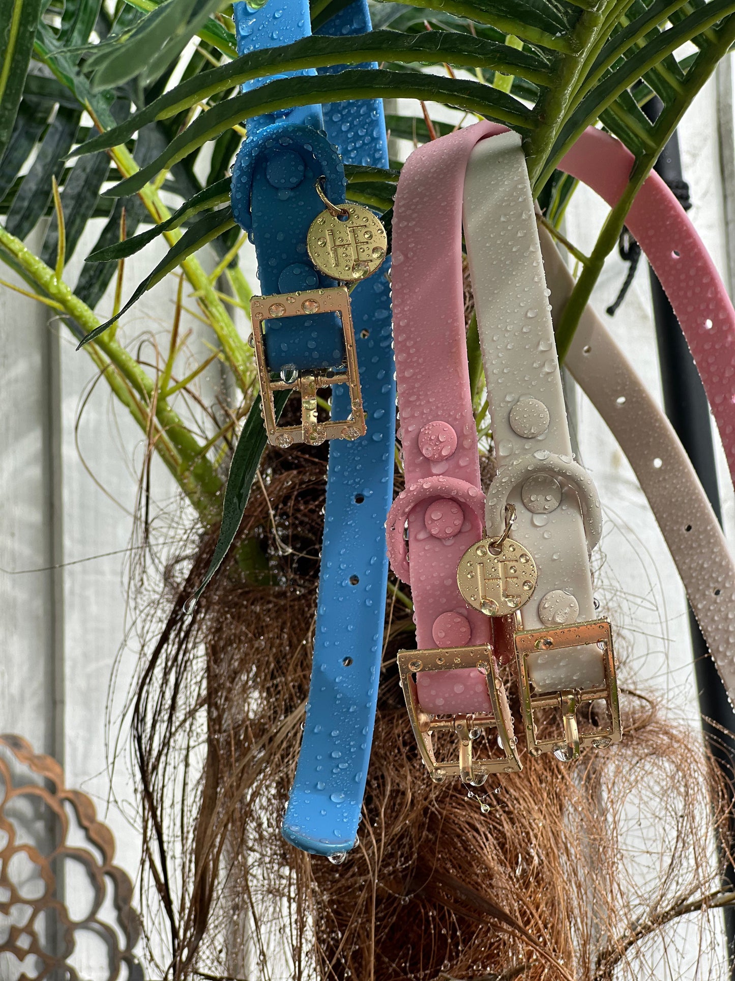 Forest Green 'All Weather'Dog Lead