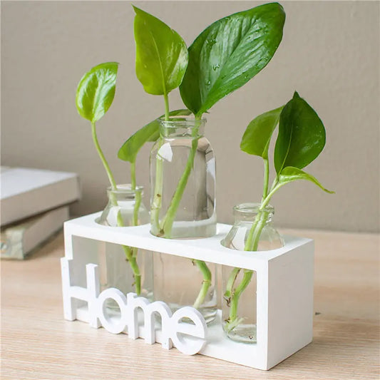 Transparent Glass Hydroponic Vase – Wooden Frame Plant Propagation Planter