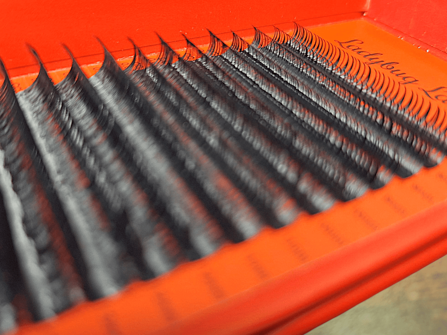 Wet Look Lash Mixed Tray