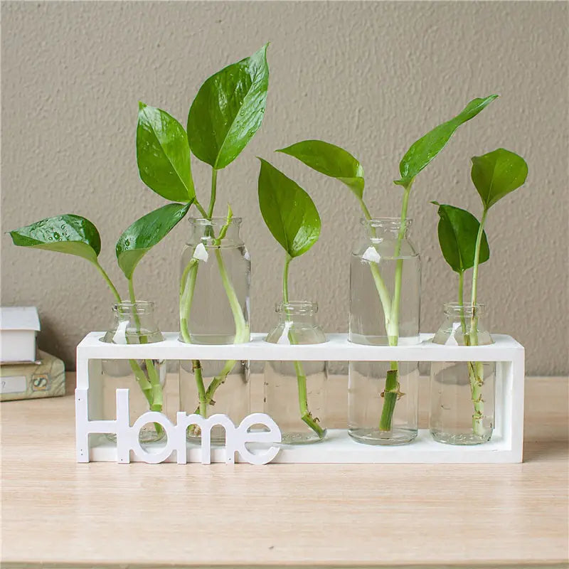 Transparent Glass Hydroponic Vase – Wooden Frame Plant Propagation Planter
