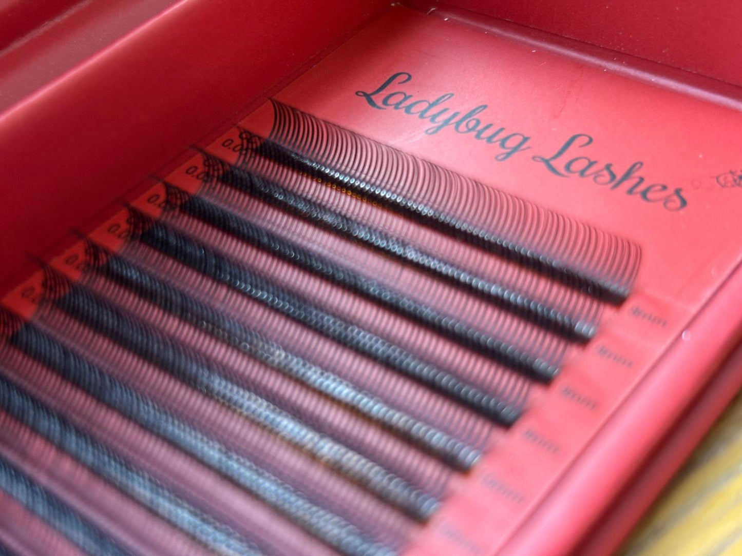 Pre-Made Angel Lash Fans