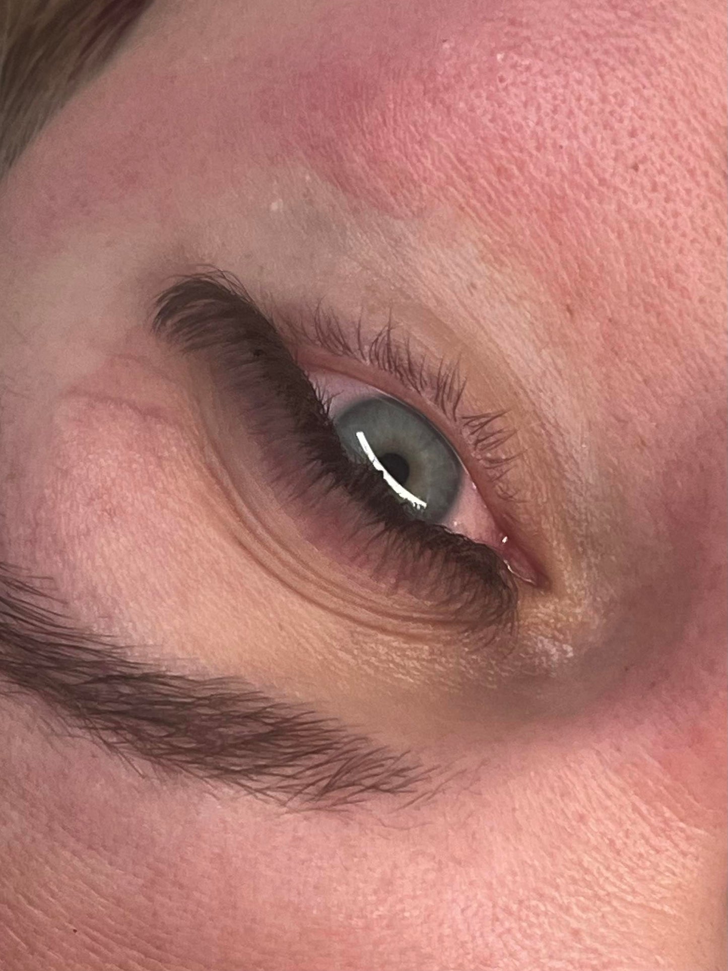 Brown 4D Clover Mixed Tray