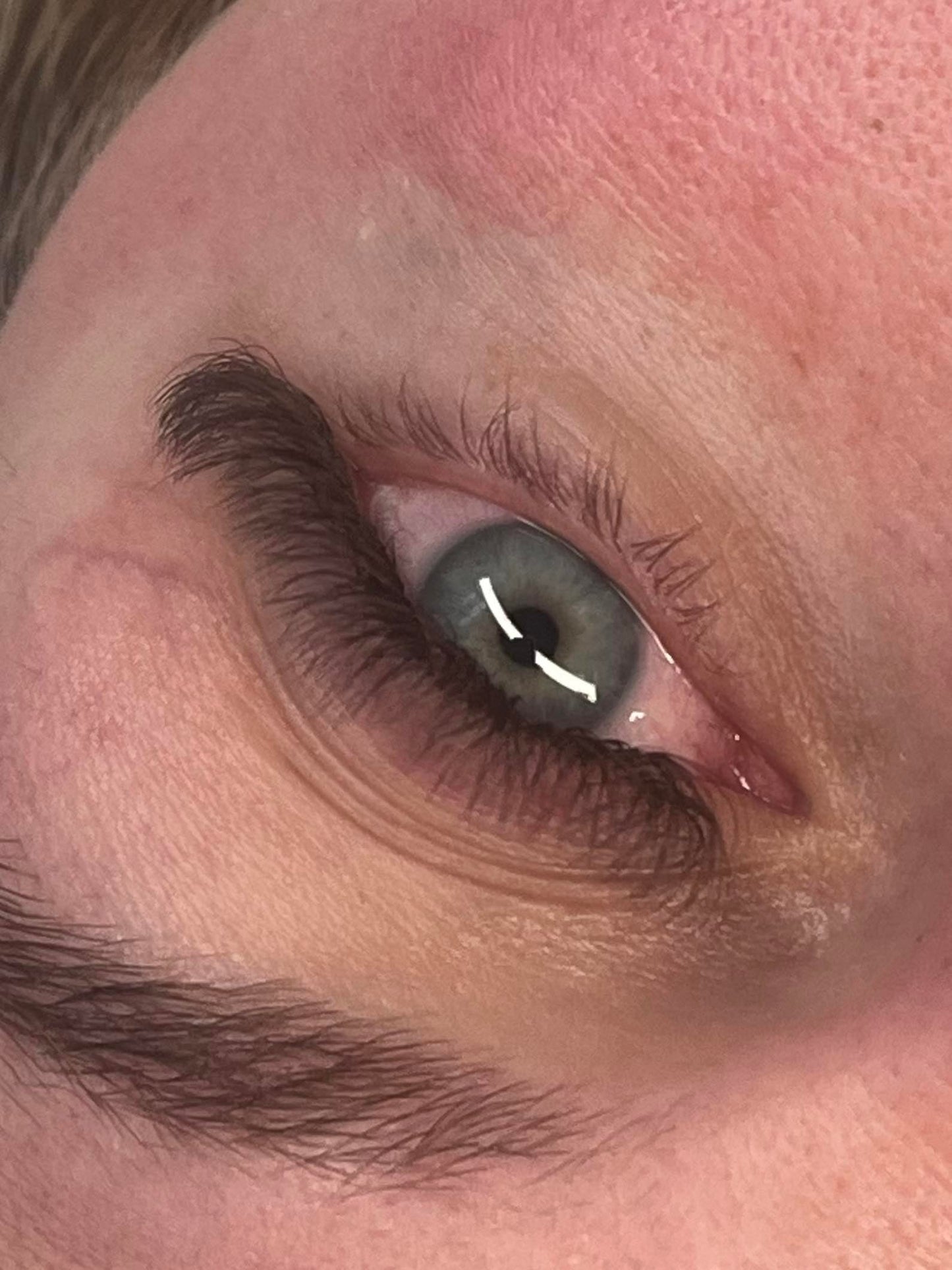 Brown 4D Clover Mixed Tray