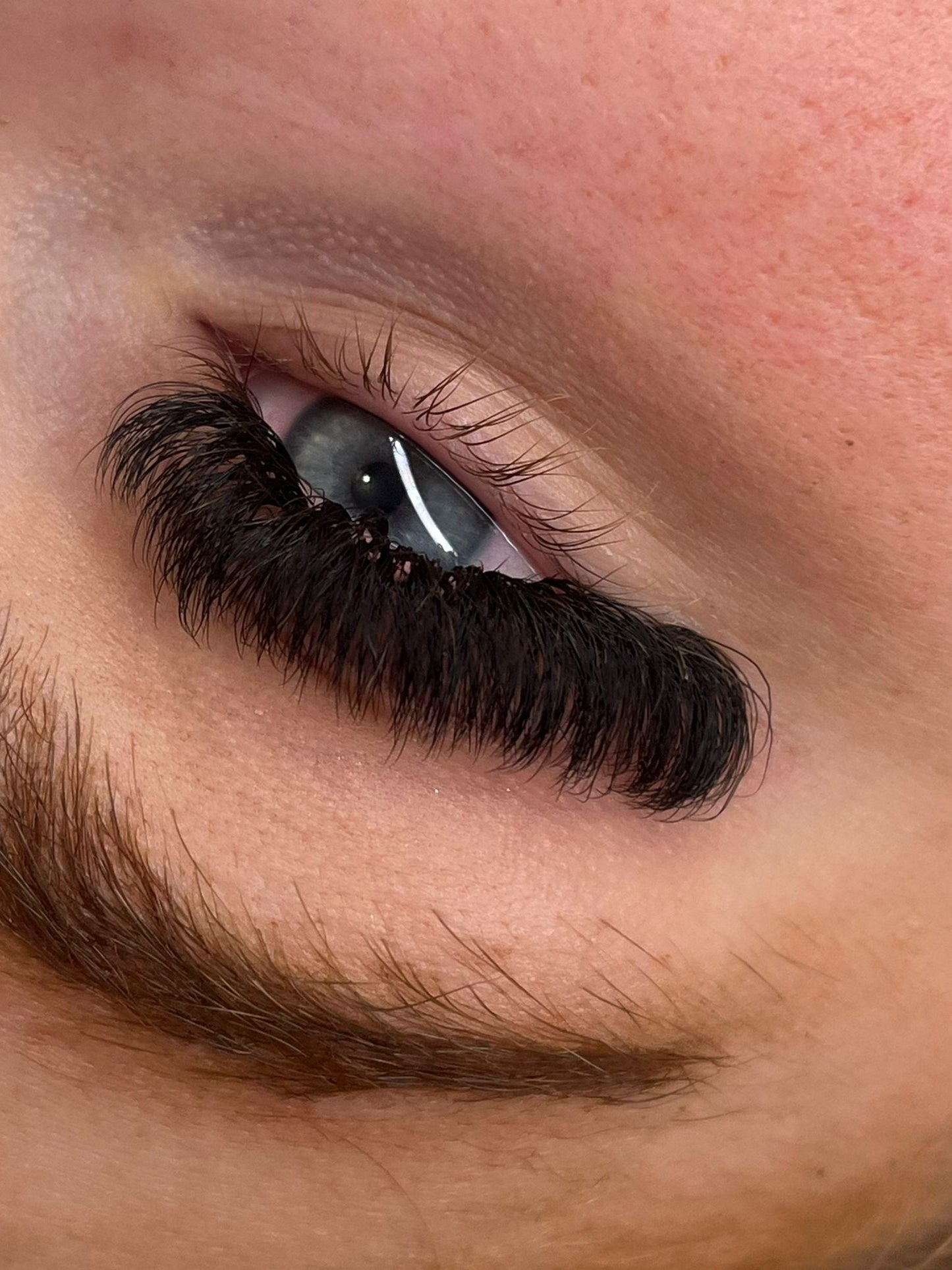 10D Clover Lash Mixed Tray