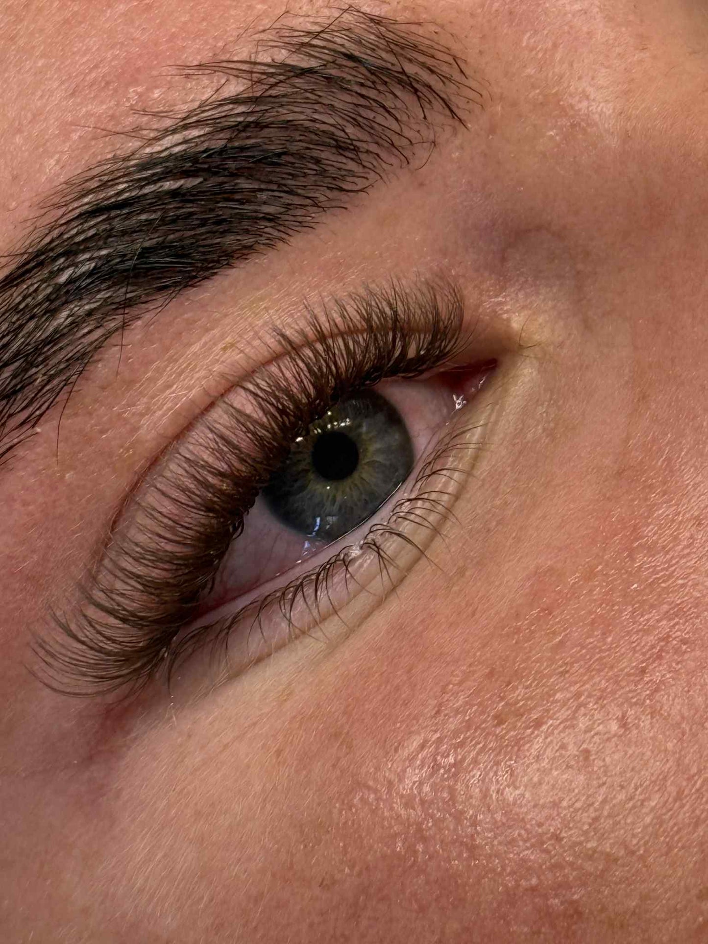 Platinum Brown Promade Tray 920 Fans