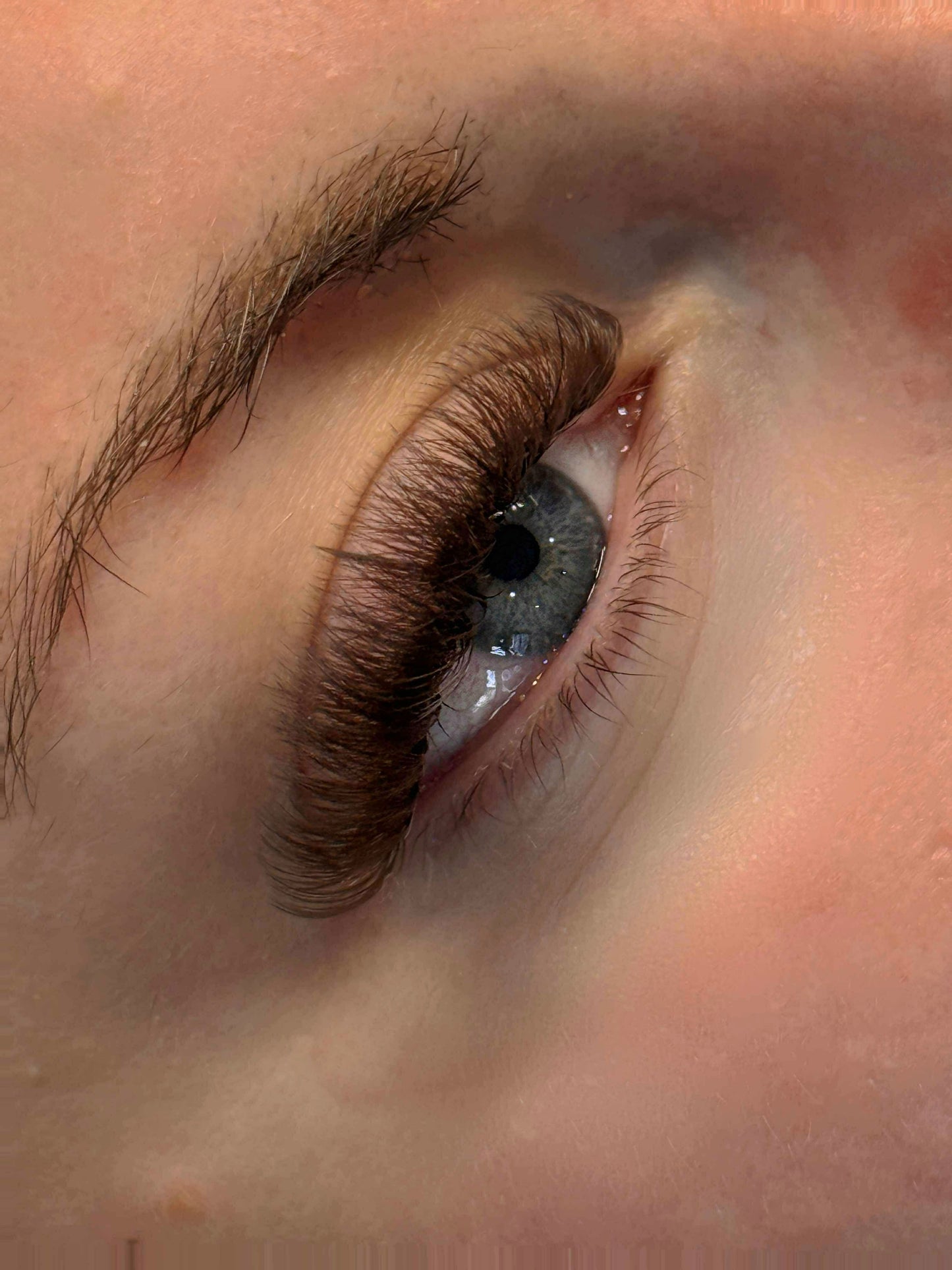 Platinum Brown Promade Tray 920 Fans