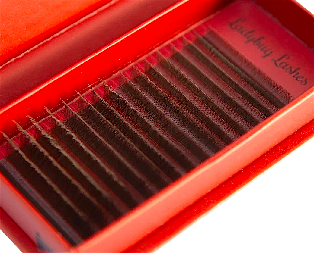 Brown YY Lash Single Length