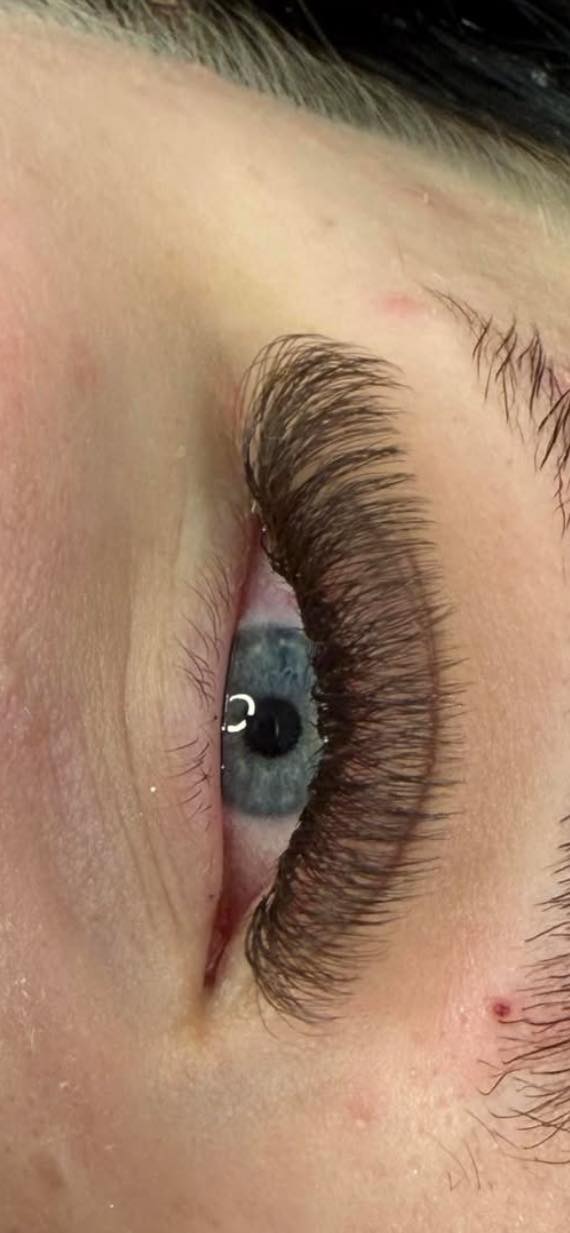 Brown 6D Clover Lash Mixed Tray