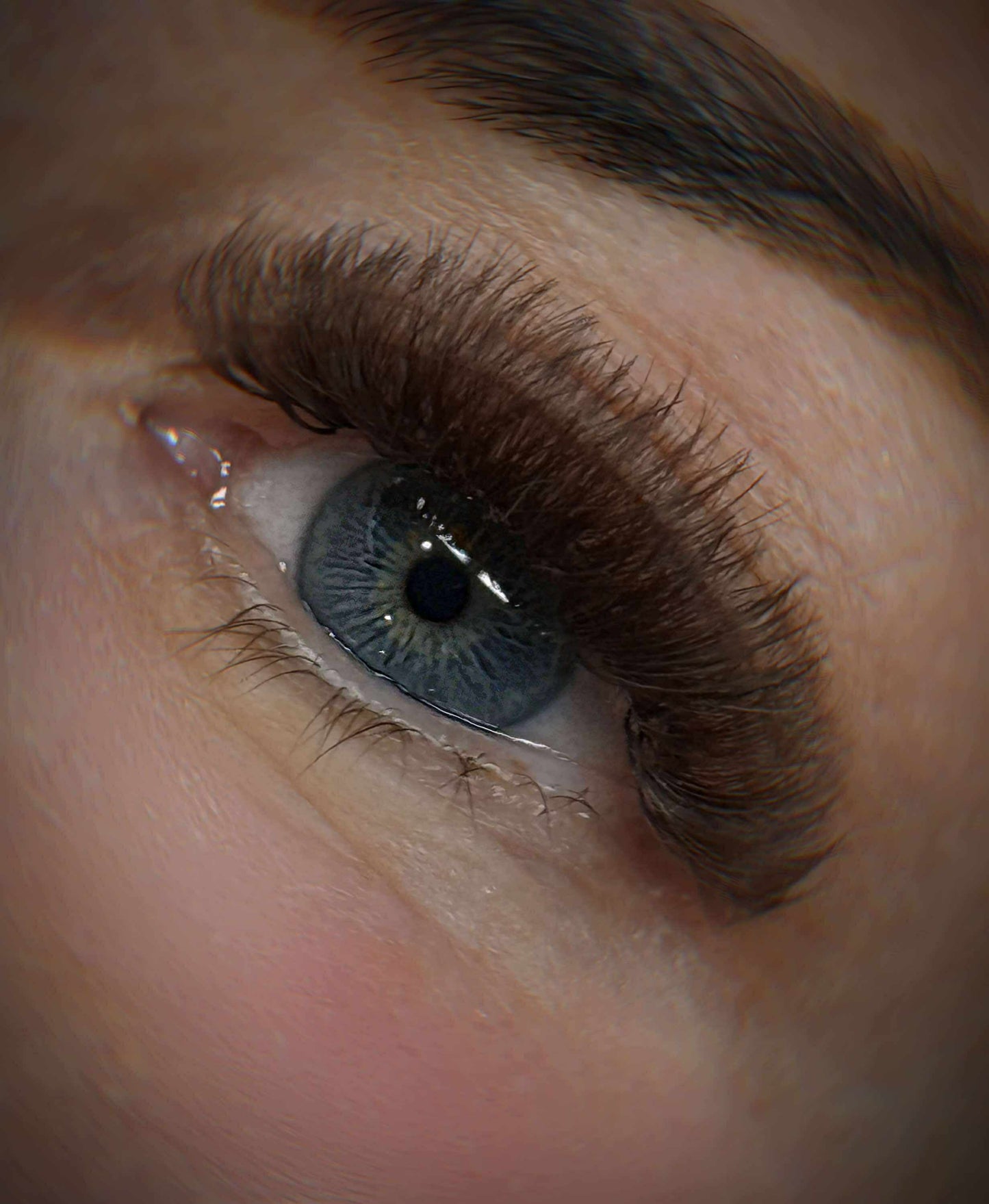 Platinum Brown Promade Tray 920 Fans