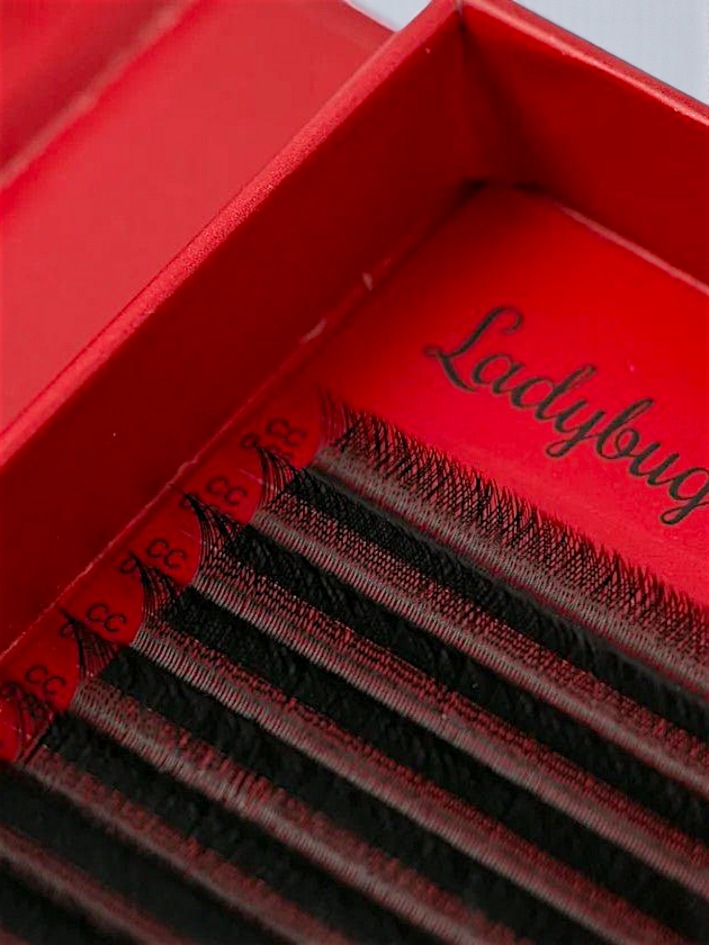 YY Lash Tray Single Length