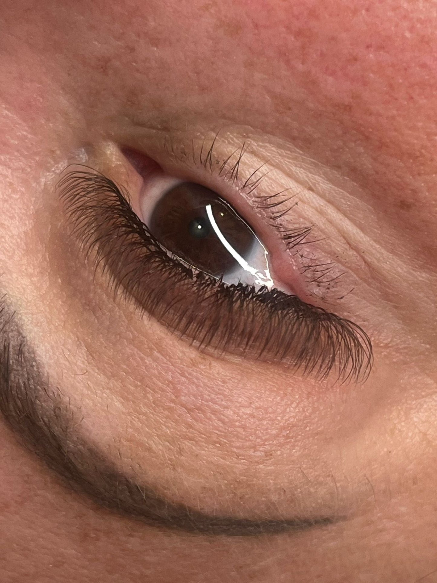 Brown 4D Clover Mixed Tray