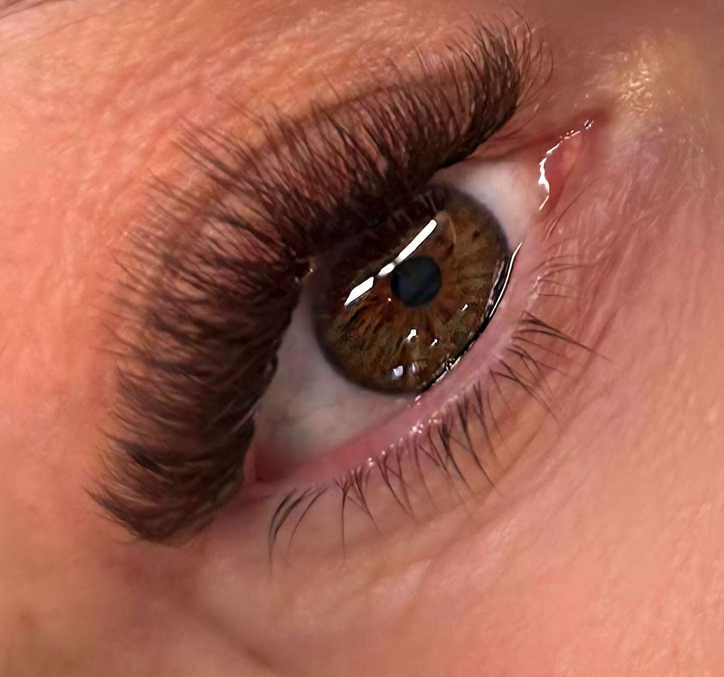 Platinum Brown Promade Tray 920 Fans