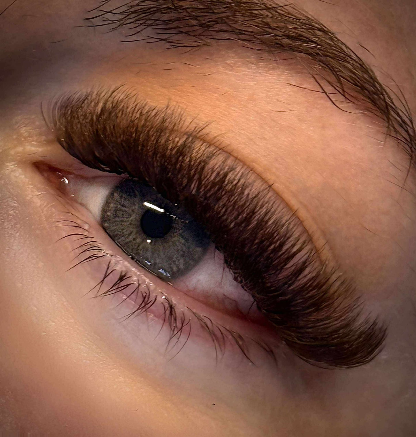 Platinum Brown Promade Tray 920 Fans