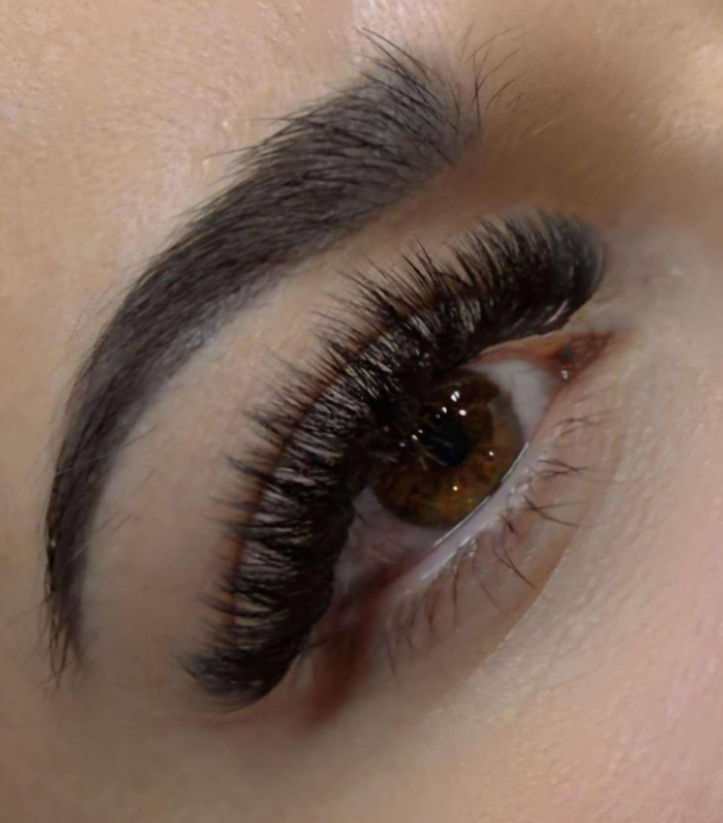 Platinum Promade Tray Ultra Black 920 Fans